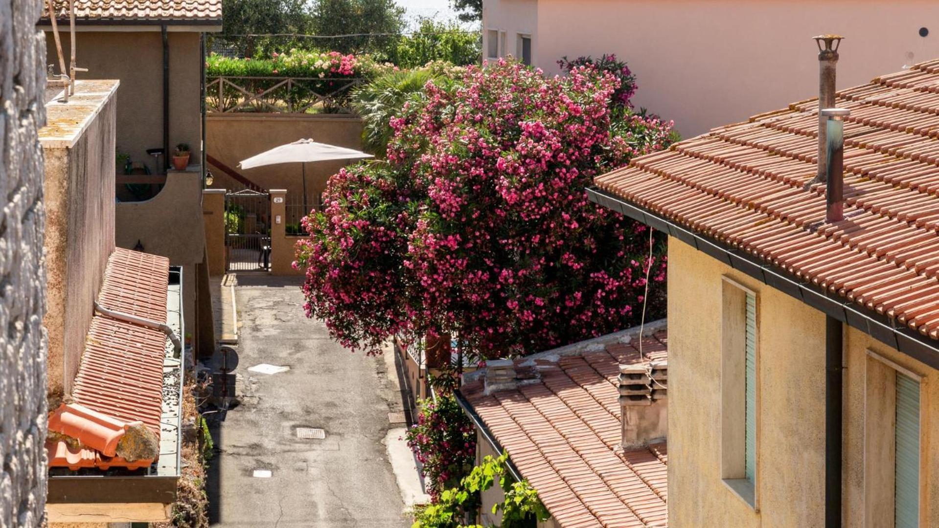 Hotel Il Telamonio Talamone Eksteriør bilde